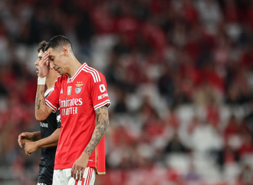 Roger Schmidt espera um Benfica a jogar bem novamente já contra o Casa Pia