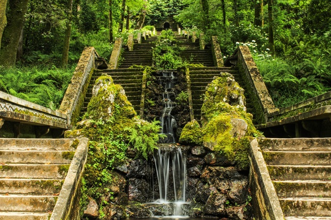 The Escadaria da Fonte Fria in Buçaco Forest (Image: Mata do Bussaco Foundation)