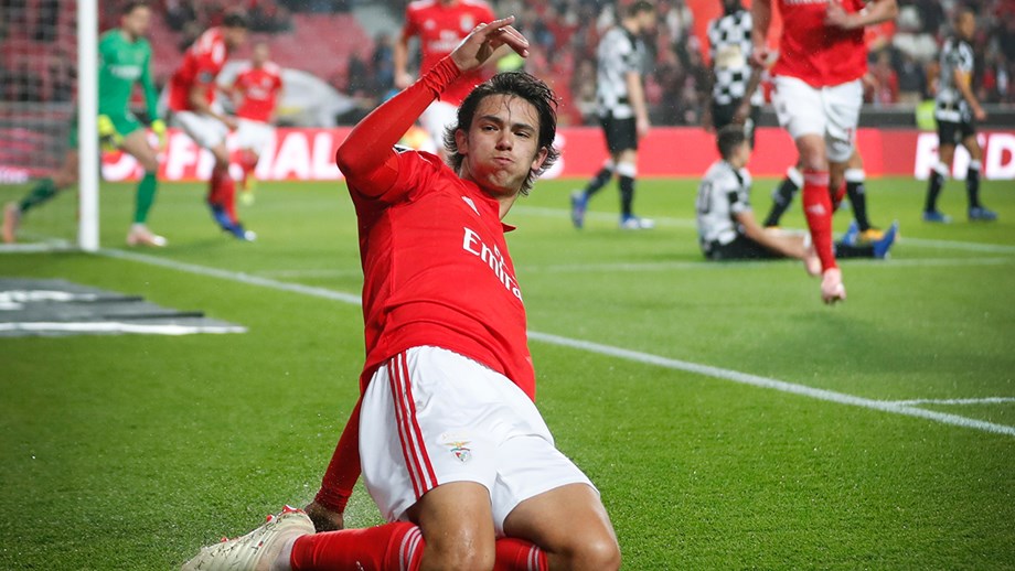 Image result for Benfica star Joao Felix